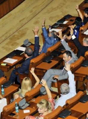 Deputatul Ghervazen Longher şi fostul deputat Mihai Rădan, cercetaţi pentru conflict de interese
